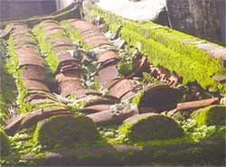 Khó trùng tu cả 2 di sản