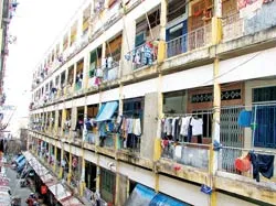 “Báo” nhưng chưa… “động”?!