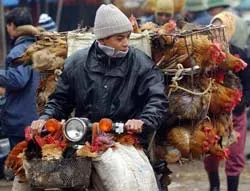 Nếu để xảy ra đại dịch là đại họa của đất nước