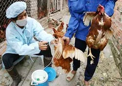 TPHCM phối hợp 6 tỉnh phòng chống dịch