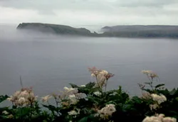 Nga đề xuất trao trả Nhật 2/4 hòn đảo