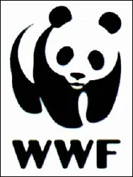 EU góp phần phá rừng ở các nước nghèo