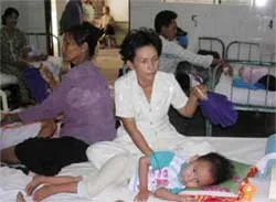 Hơn 31.000 ca sốt xuất huyết, 33 người tử vong