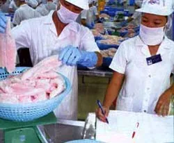 Cá tra, cá basa tiêu thụ mạnh