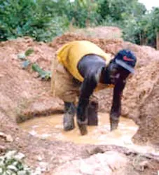 Vì sao giá vàng thế giới tăng ? ảnh 2