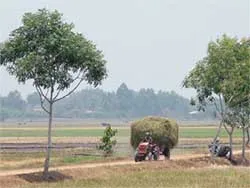 Nông dân cùng xây dựng cơ sở hạ tầng nông thôn