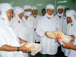 Bước chuyển tích cực trong phòng chống dịch cúm gia cầm