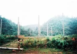 Người trồng sắn khổ vì lời hứa suông