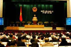 Giao thông lộn xộn, án oan sai gia tăng ảnh 4