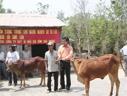 Trên 2,8 tỷ đồng giúp bà con thoát nghèo