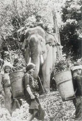 Khoảnh khắc của một thời