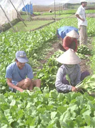 Mô hình có sức lan tỏa cả nước