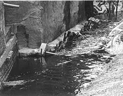 Thanh tra đến đâu, sai phạm đến đó