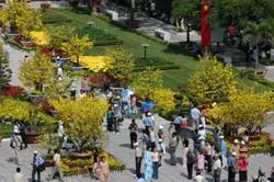 Sẽ có đường hoa Nguyễn Huệ - Lê Lợi