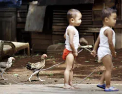 Hai bệnh nhân nghi nhiễm cúm gia cầm từ người sang người?