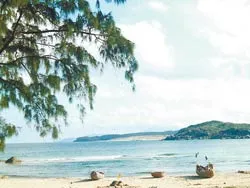 Theo dòng nhật ký