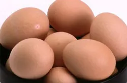 Ẩm thực mùa… cúm gà