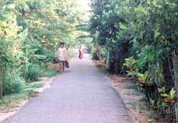 Thừa nhận lấy đất công chia cho cán bộ