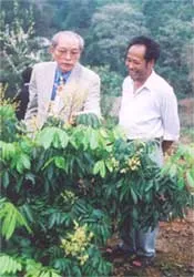 Chuyện “vua rừng”