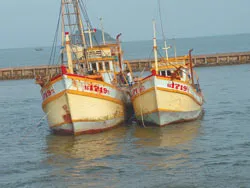 Thuyền giã cào gây nhiều thiệt hại cho ngư dân