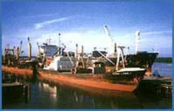 Bắt tạm giam Vụ phó Thanh tra Dương Văn Lực