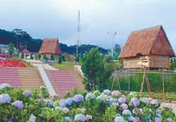 Rạo rực trước giờ khai cuộc