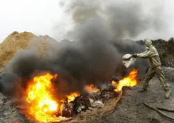 Xuất hiện ở Ukraine, lan rộng ở Romania và làm 70 người chết ở châu Á