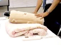 Phát minh thú vị năm 2005 ảnh 4