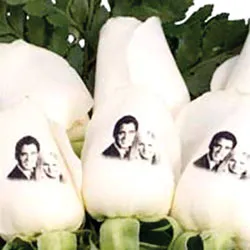 Phát minh thú vị năm 2005 ảnh 9