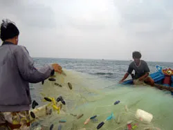 Làm ăn nơi đầu sóng ảnh 2