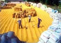 "Dè chừng" Việt Nam và Malaysia trở thành đối thủ cạnh tranh đáng kể