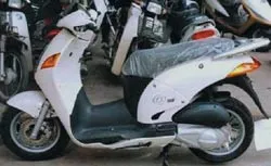 Không thể để “lờn” luật