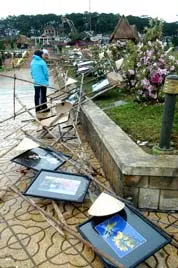 Nỗi buồn thời tiết ảnh 2