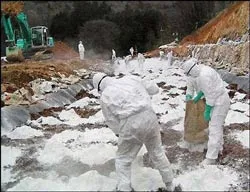 Đóng góp 135 triệu USD chống cúm gia cầm