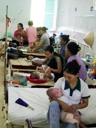 Bệnh viêm đường hô hấp tăng