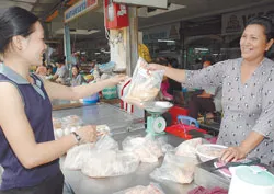 Nỗi buồn và hy vọng