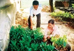 Đại ca... trả nợ rừng