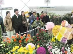 Thời cơ của người trồng hoa