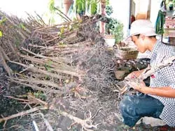 Thiệt hại không nhỏ