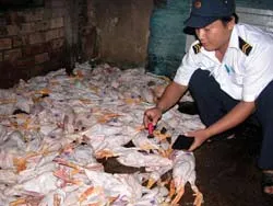 Tìm đầu ra cho đàn gia cầm