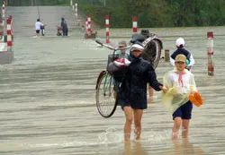 Nỗi đau vùng rốn lũ