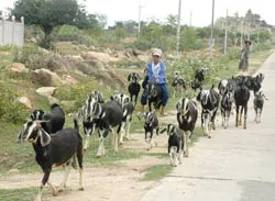 Bài 1: Tên anh tạc vào đá núi ảnh 2