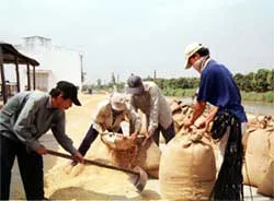 Bước đi mới cho nấc thang mới phát triển kinh tế