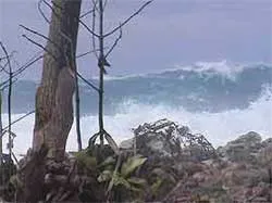 Đề phòng sóng lớn xuất hiện ở biển Đông