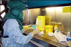 Biến đổi của virus H5N1 đưa thế giới tới gần một đại dịch