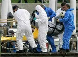 Máy bay rơi ở Mỹ, 19 người thiệt mạng