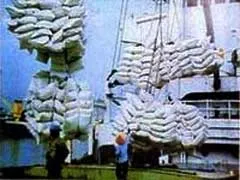 Việt Nam xuất khẩu gạo đạt mức kỷ lục 5,2 triệu tấn