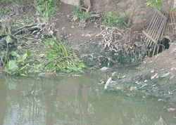 Nhiều sông, kênh đã hóa đen