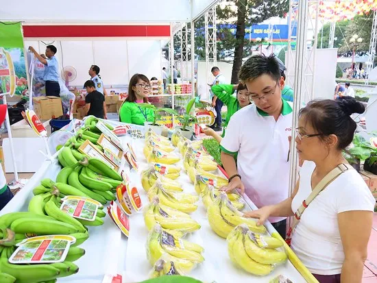 Bí thư Thành ủy TPHCM Nguyễn Thiện Nhân bàn “Vốn ở đâu để đầu tư phát triển TP?” ảnh 5