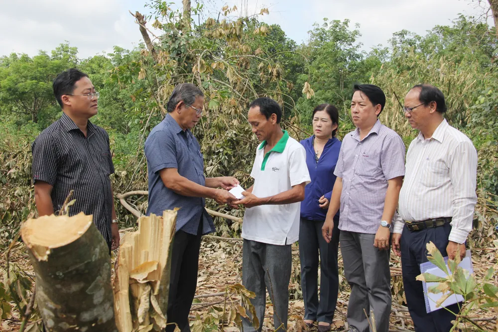 TPHCM hỗ trợ người dân các tỉnh miền Trung bị thiệt hại do bão số 10      ảnh 2